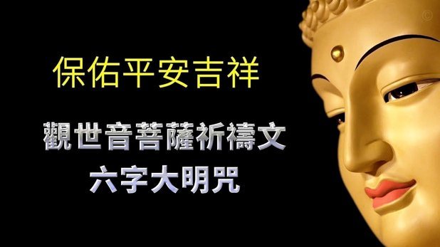 阿莱格里想离开米兰，不满伊布指挥球员+与其黑粉卡萨诺交流