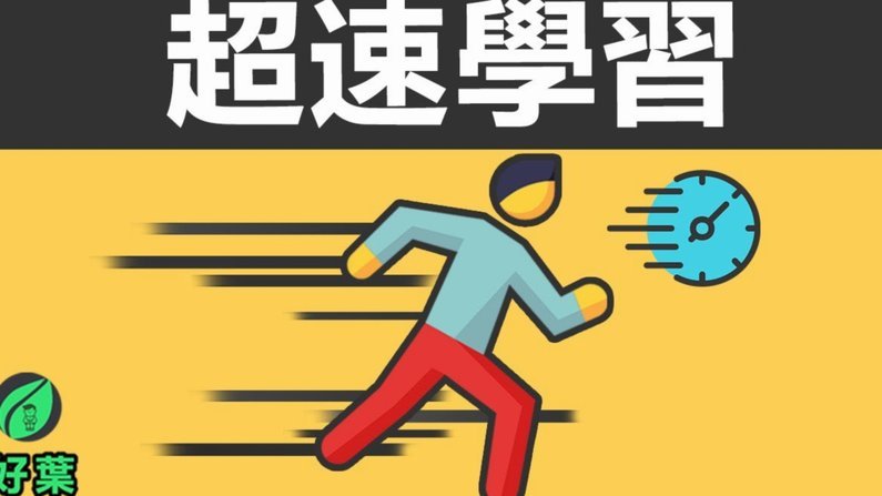 决策力：早教还是实战磨炼？