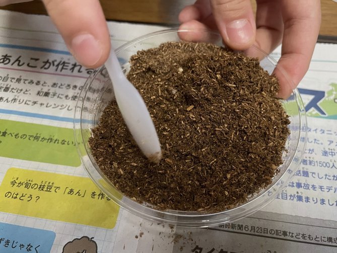 阿德耶米：无需弗里克劝说我，加盟巴萨机会一生仅一次