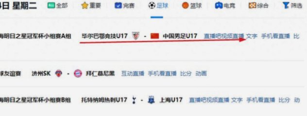 明日之星冠军杯：上海U17末轮战平河床，3战积5分头名出线